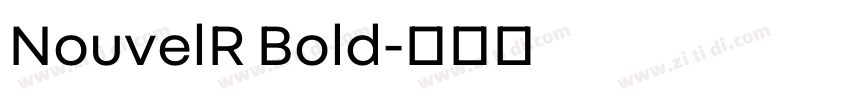 NouvelR Bold字体转换